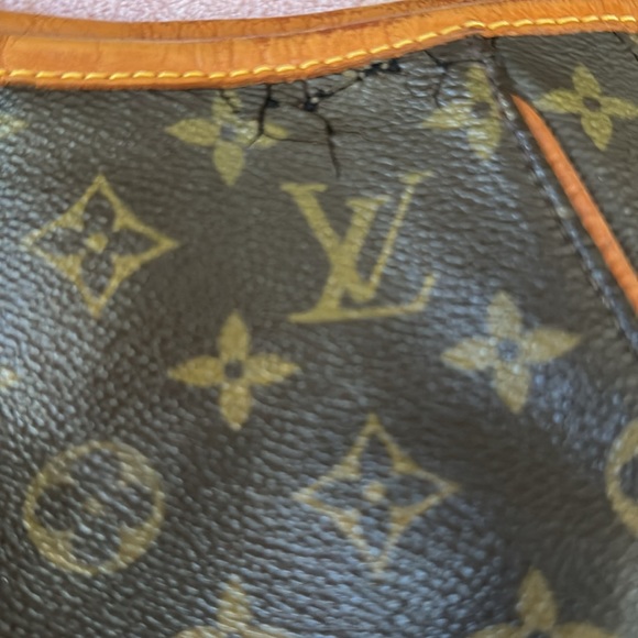 Louis Vuitton Galliera PM - Picture 8 of 13